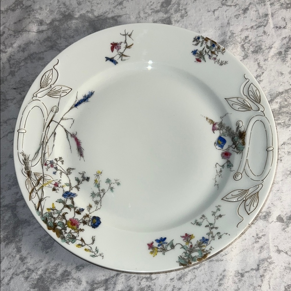 Antique Haviland & Co Limoges Porcelain Floral Plate